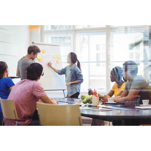 [GRP23] Cotisation de groupe, compagnie, association 2025